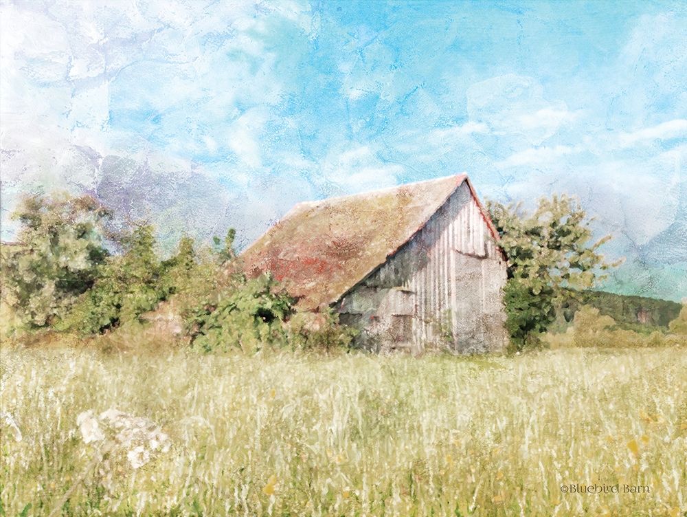 Spring Green Meadow by the Old Barn art print by Bluebird Barn for $57.95 CAD