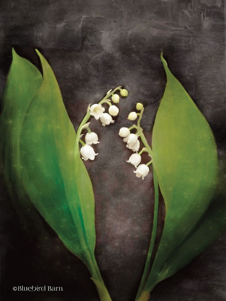 Contemporary Floral Lily of the Valley art print by Bluebird Barn for $57.95 CAD