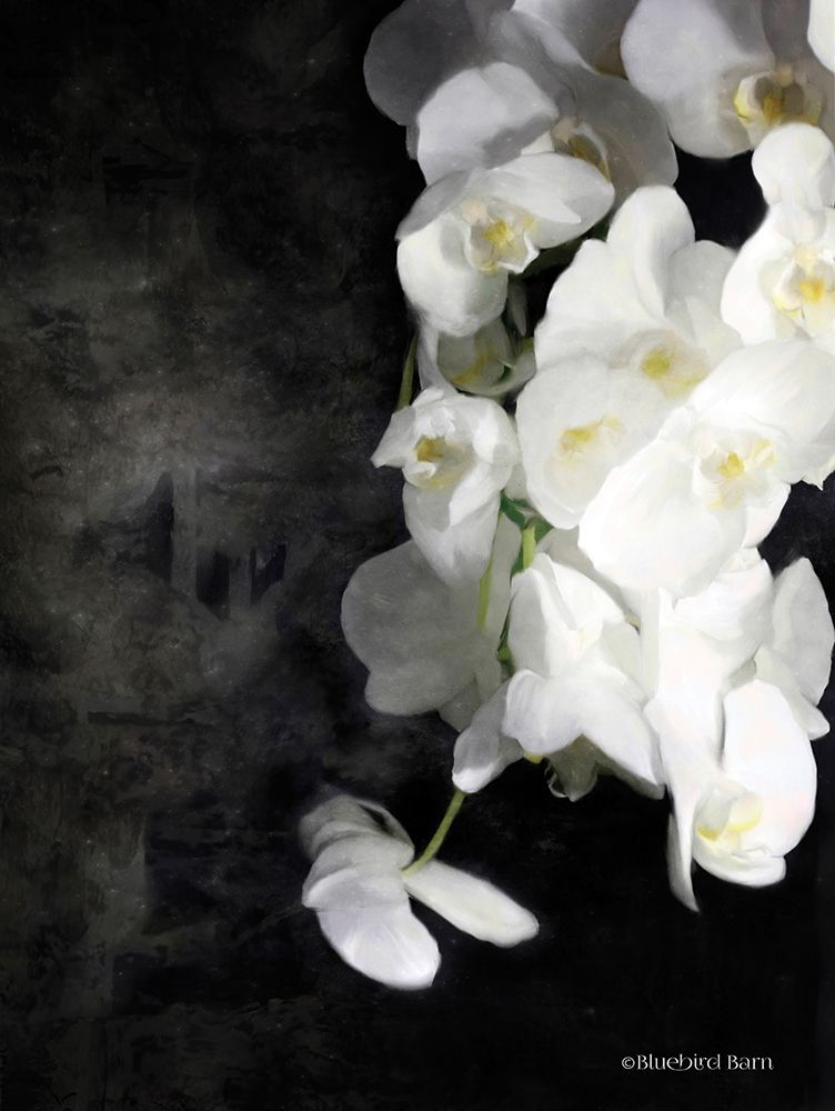 Contemporary White Orchids art print by Bluebird Barn for $57.95 CAD