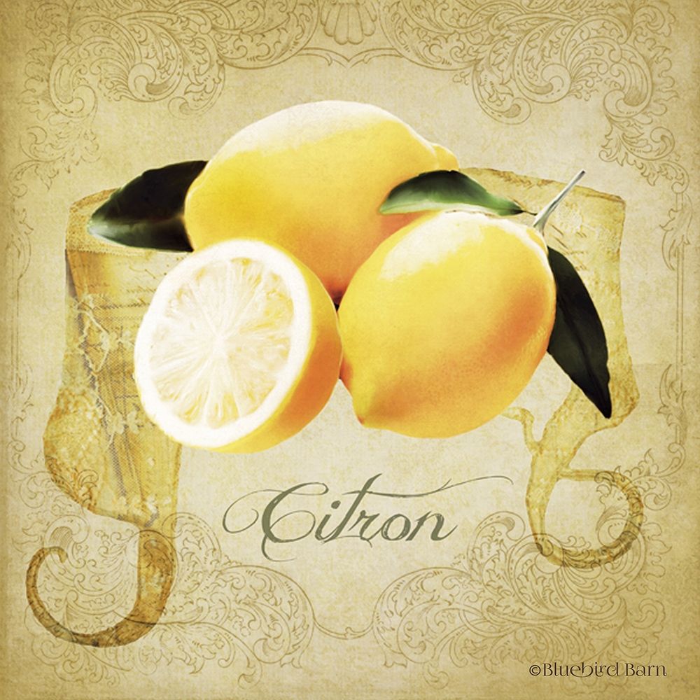 Vintage Lemons Citron art print by Bluebird Barn for $57.95 CAD