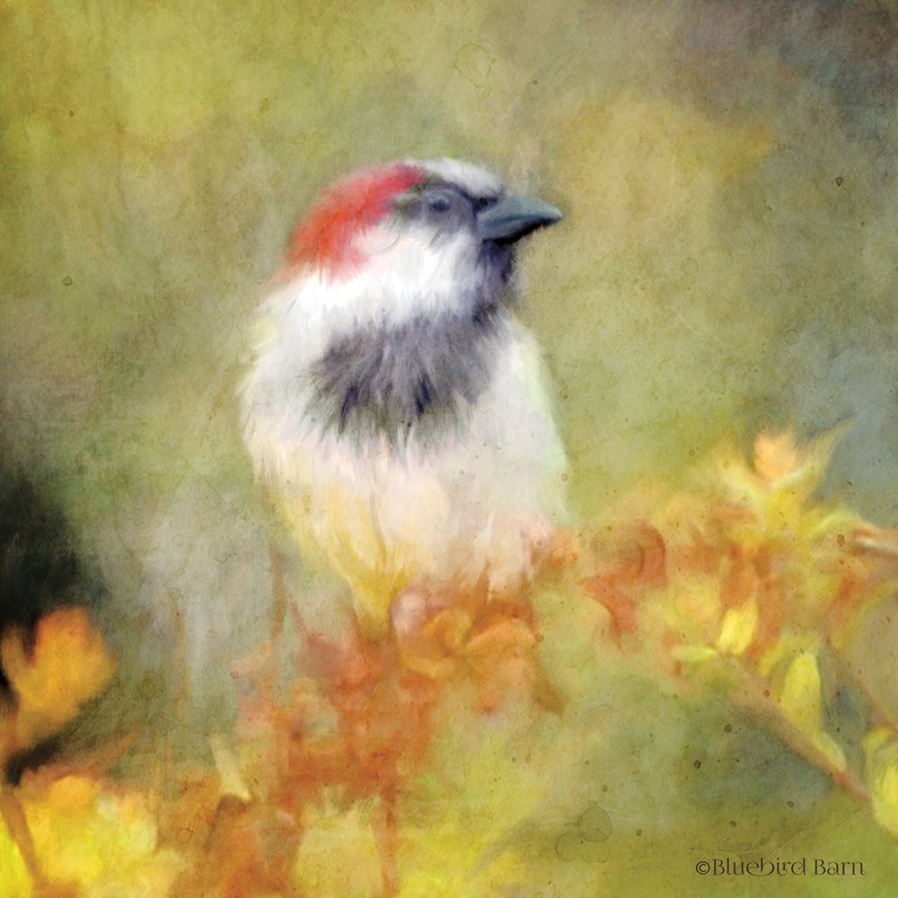 Backyard Bird in Autumn art print by Bluebird Barn for $57.95 CAD