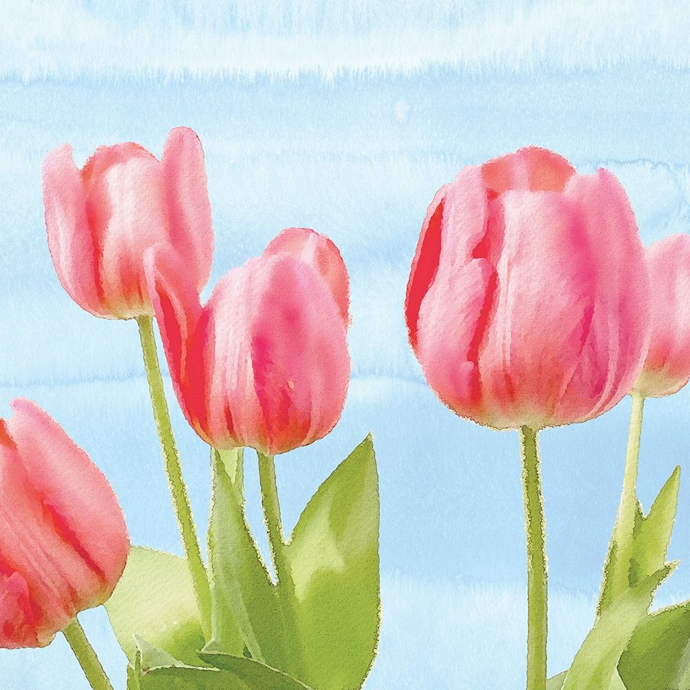 Fresh Spring Tulips I art print by Bluebird Barn for $57.95 CAD