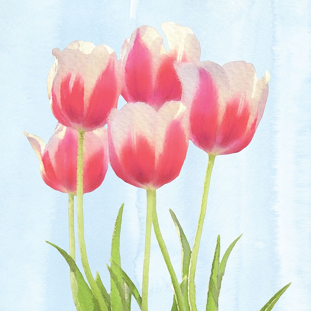 Fresh Spring Tulips III art print by Bluebird Barn for $57.95 CAD
