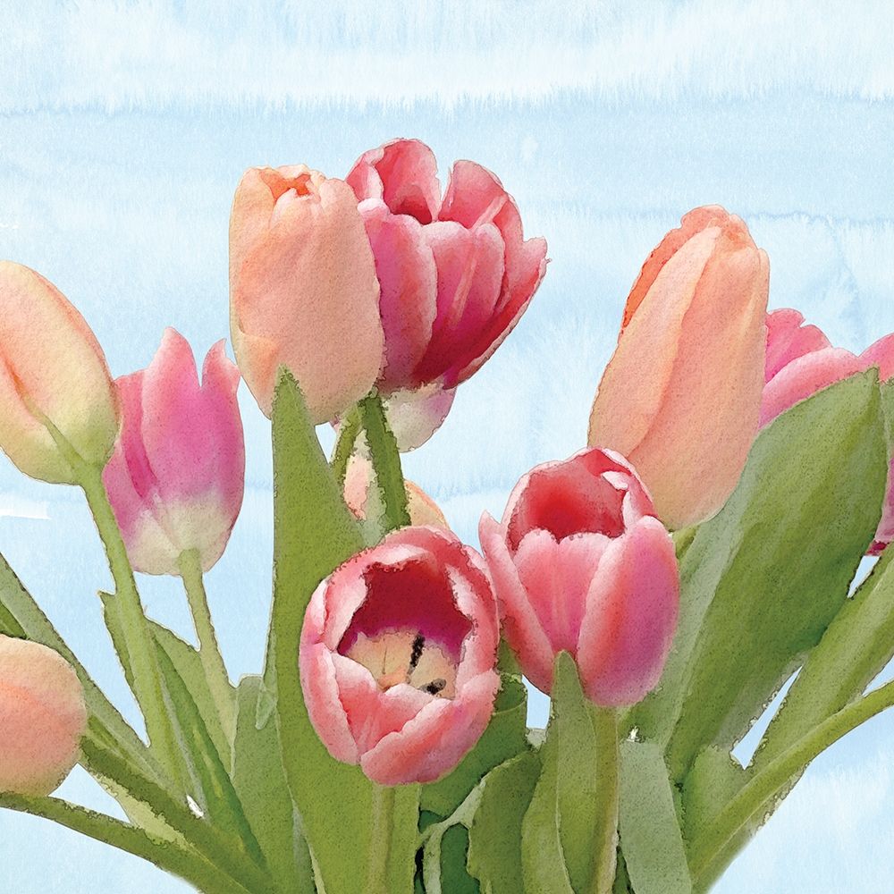 Fresh Spring Tulips IV art print by Bluebird Barn for $57.95 CAD