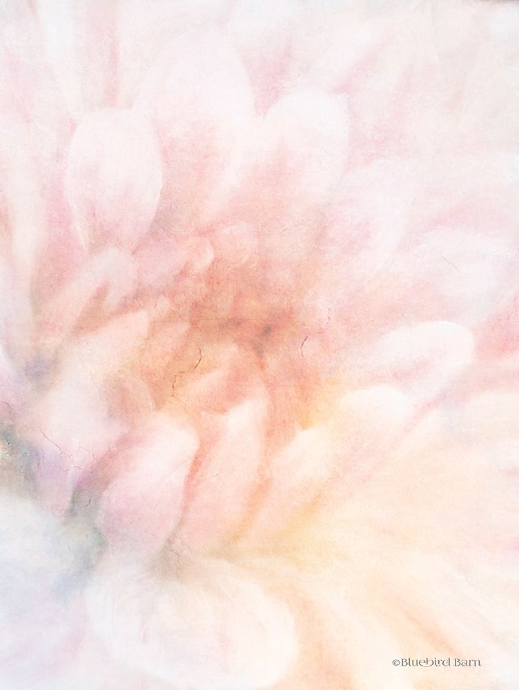 Soft Dahlia Pastel Peach art print by Bluebird Barn for $57.95 CAD