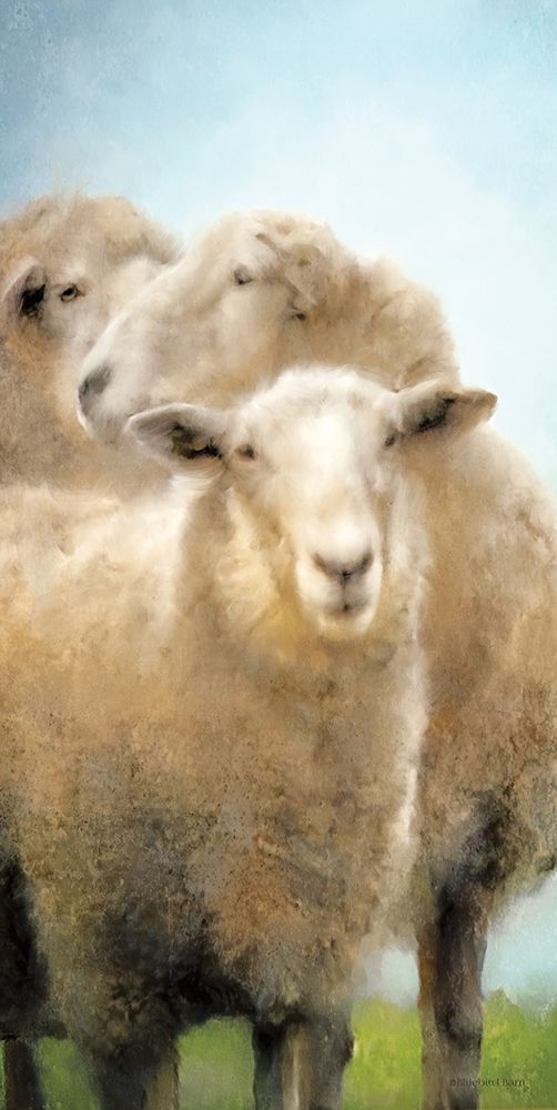 Three Sheep Portrait art print by Bluebird Barn for $57.95 CAD
