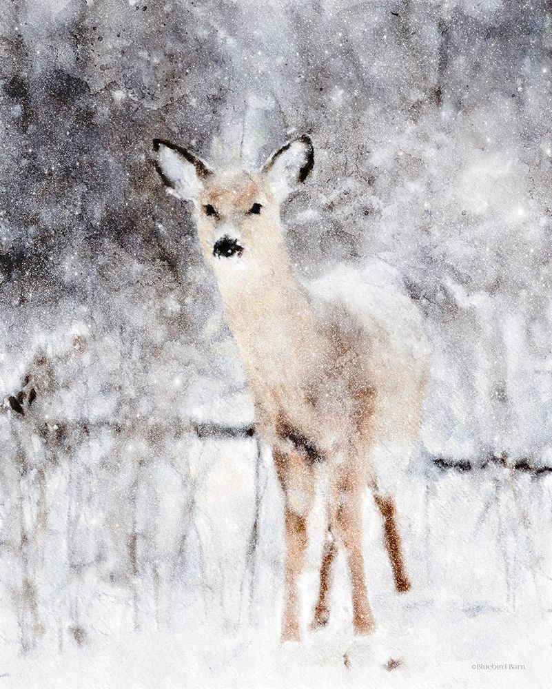 Deer in Winter Forest art print by Bluebird Barn for $57.95 CAD