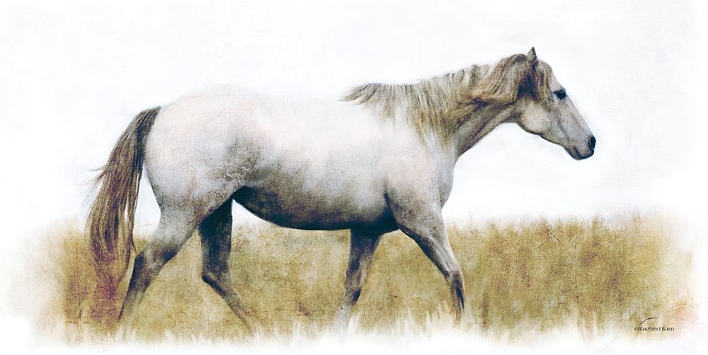 White Horse    art print by Bluebird Barn for $57.95 CAD