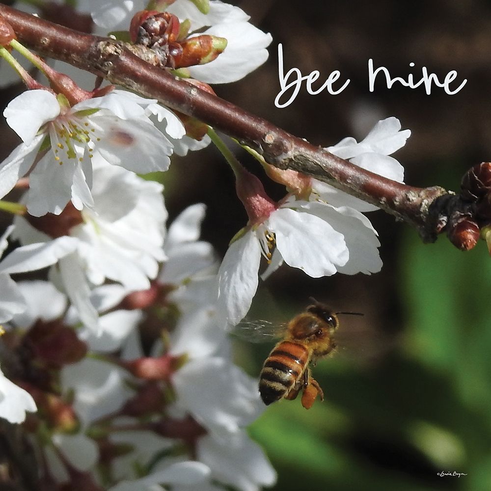 Bee Mine art print by Susie Boyer for $57.95 CAD