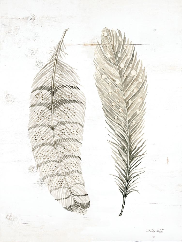 Feather I    art print by Cindy Jacobs for $57.95 CAD