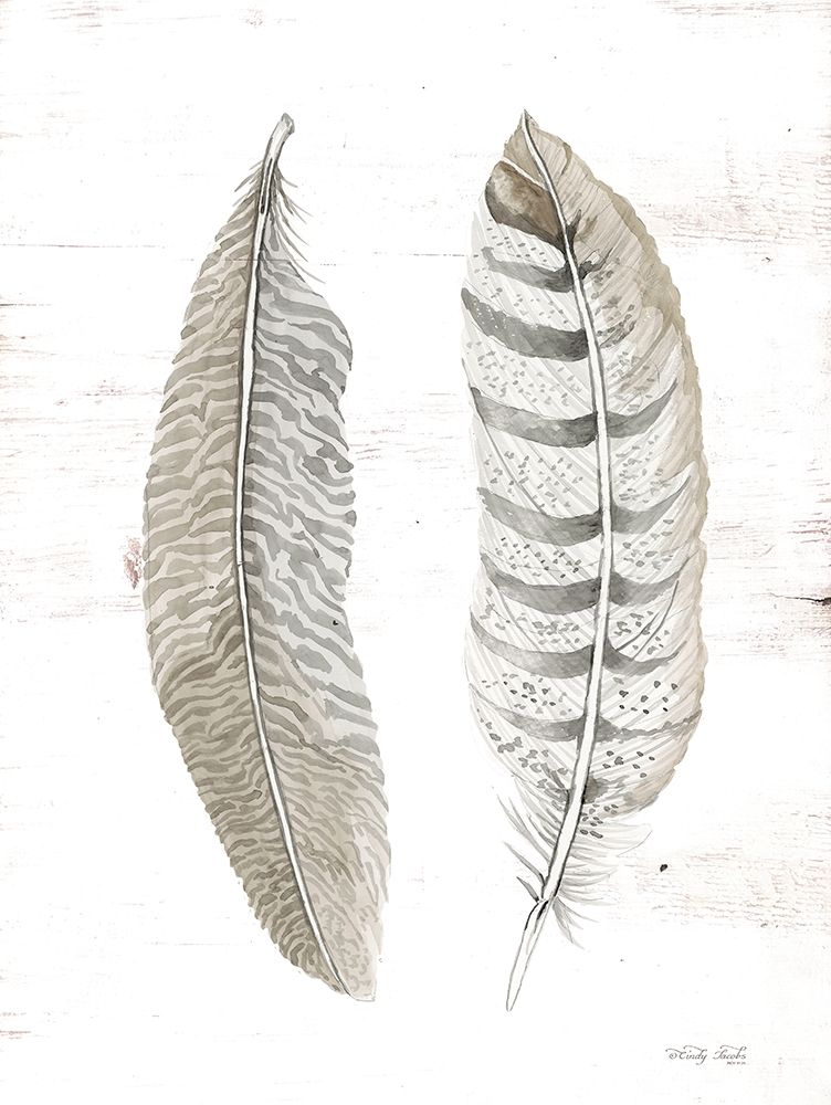 Feather II    art print by Cindy Jacobs for $57.95 CAD
