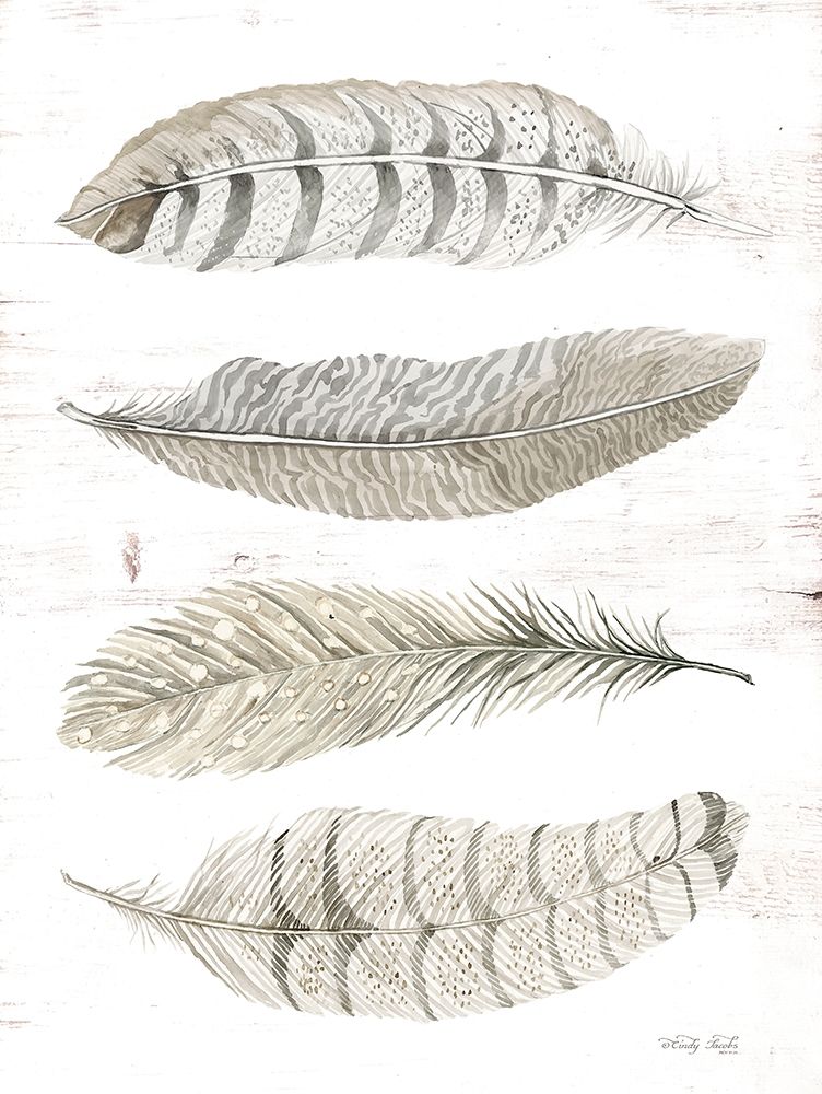 Feather Quad    art print by Cindy Jacobs for $57.95 CAD