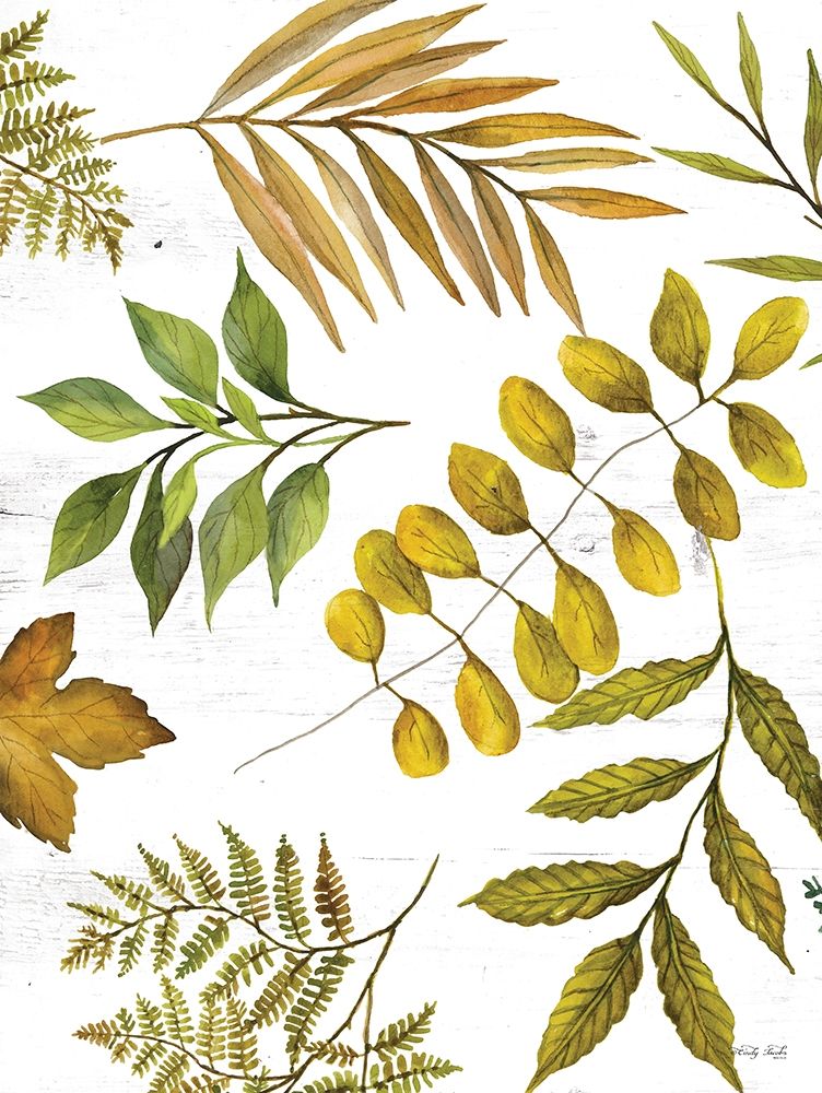 Leaf Patterns I art print by Cindy Jacobs for $57.95 CAD