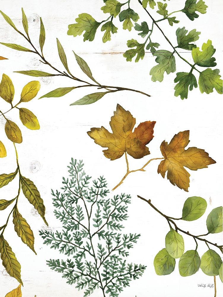 Leaf Patterns II art print by Cindy Jacobs for $57.95 CAD