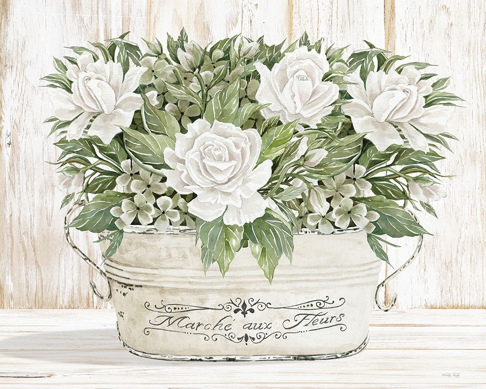 Roses in White art print by Cindy Jacobs for $57.95 CAD