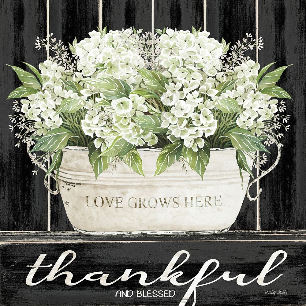 Thankful And Blessed art print by Cindy Jacobs for $57.95 CAD