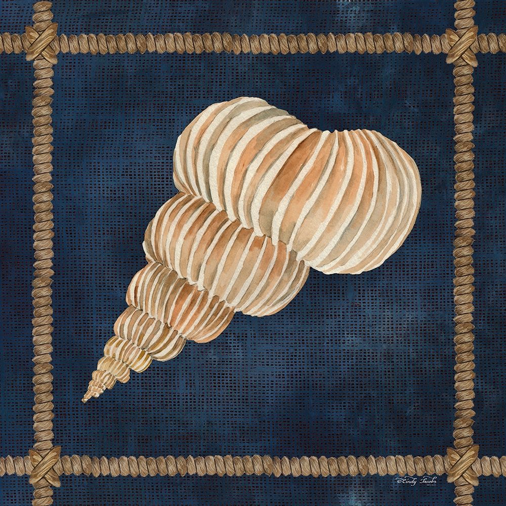 Seashell on Navy III art print by Cindy Jacobs for $57.95 CAD
