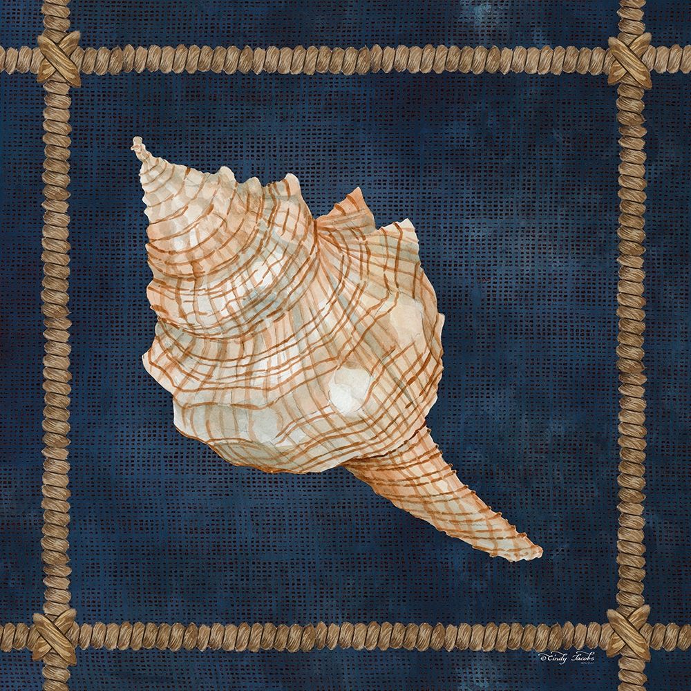 Seashell on Navy IV art print by Cindy Jacobs for $57.95 CAD