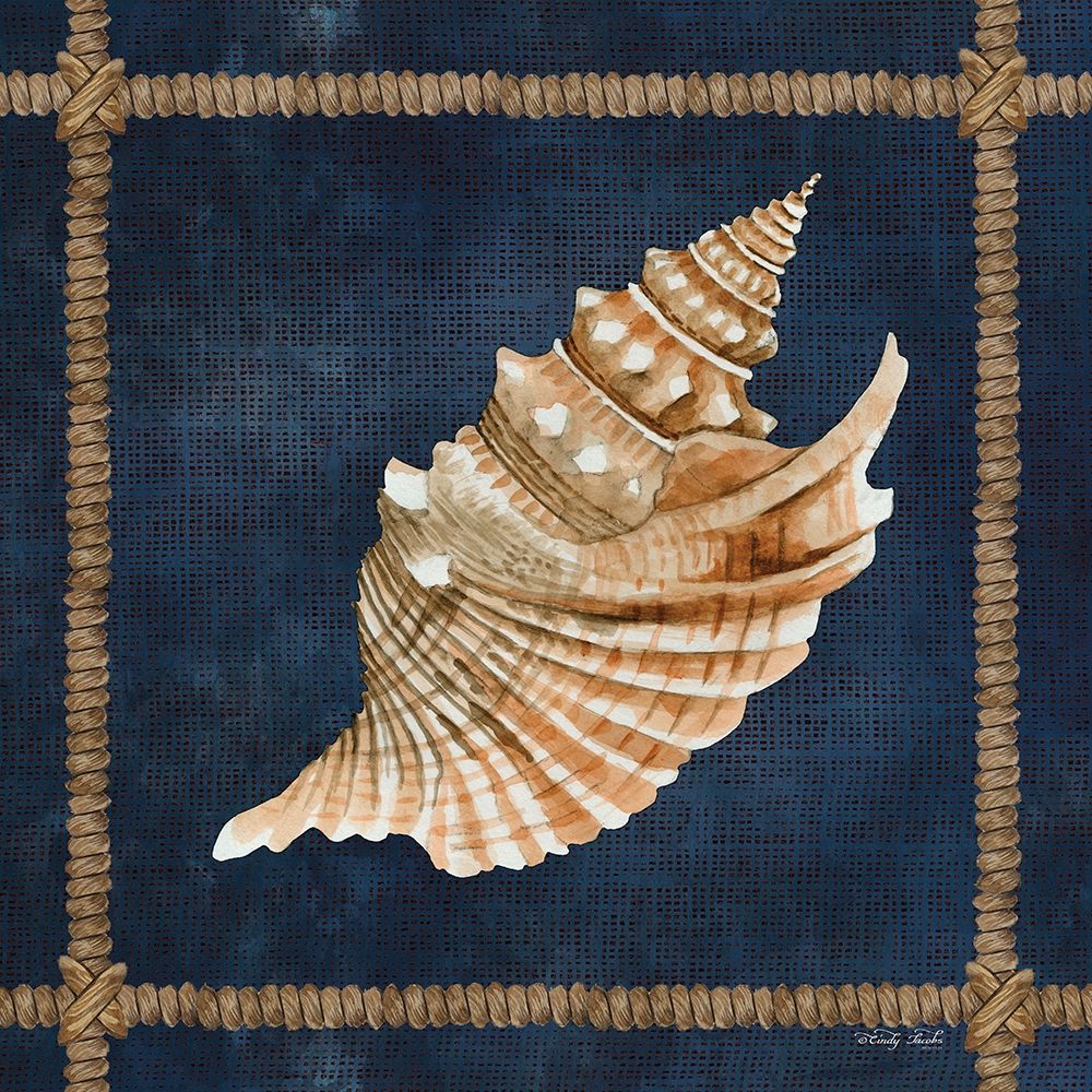 Seashell on Navy V art print by Cindy Jacobs for $57.95 CAD