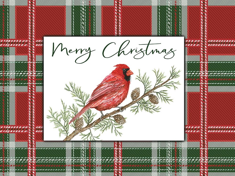 Merry Christmas Cardinal art print by Cindy Jacobs for $57.95 CAD