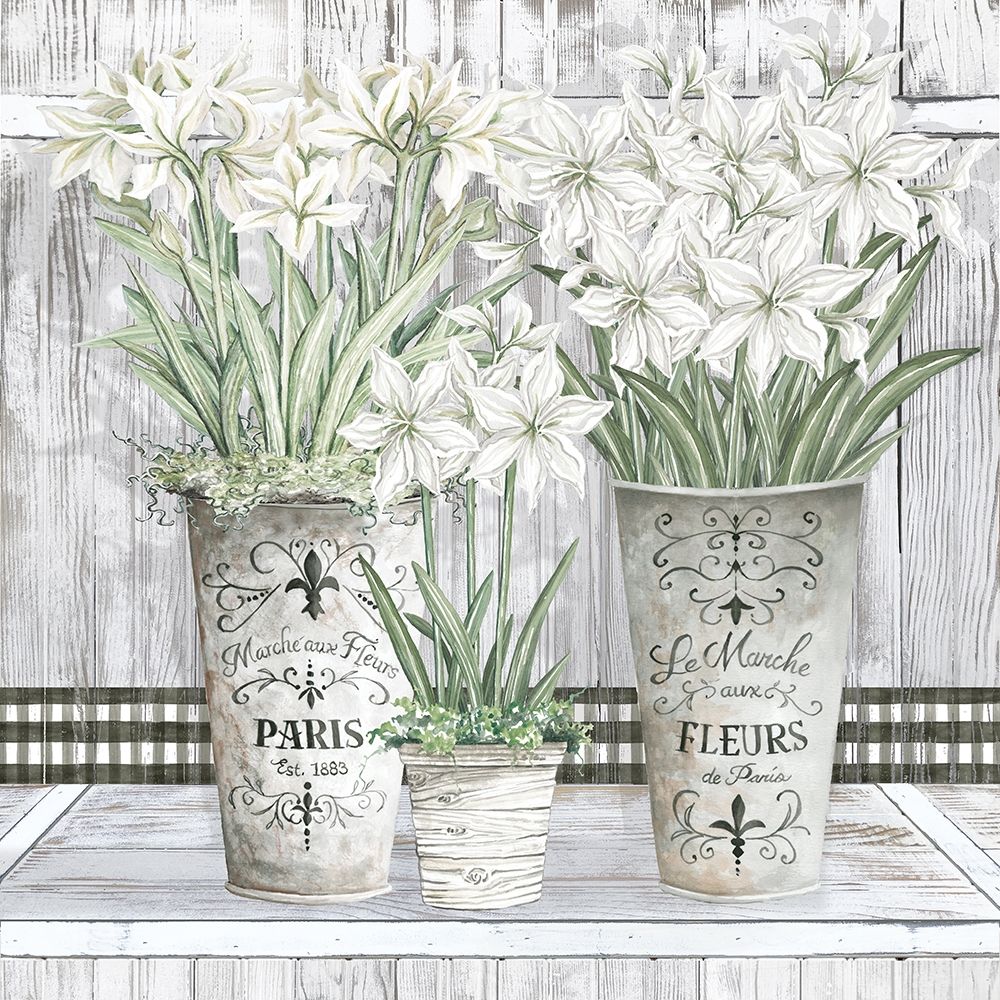 Amaryllis Multi Pots art print by Cindy Jacobs for $57.95 CAD