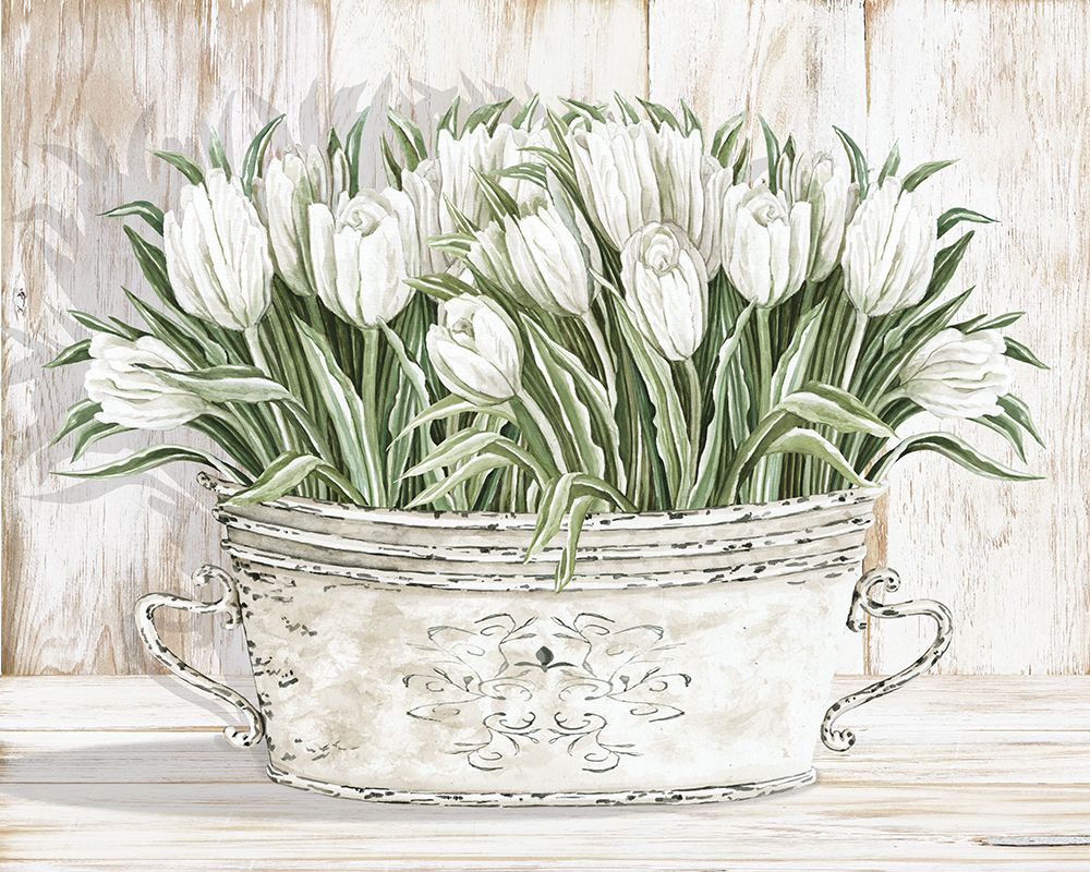Tulips in White Chipped Pail art print by Cindy Jacobs for $57.95 CAD