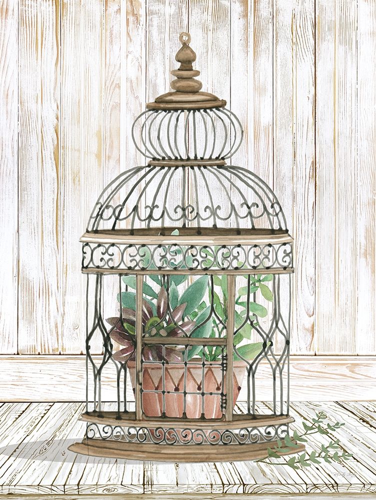 Caged Beauty I art print by Cindy Jacobs for $57.95 CAD
