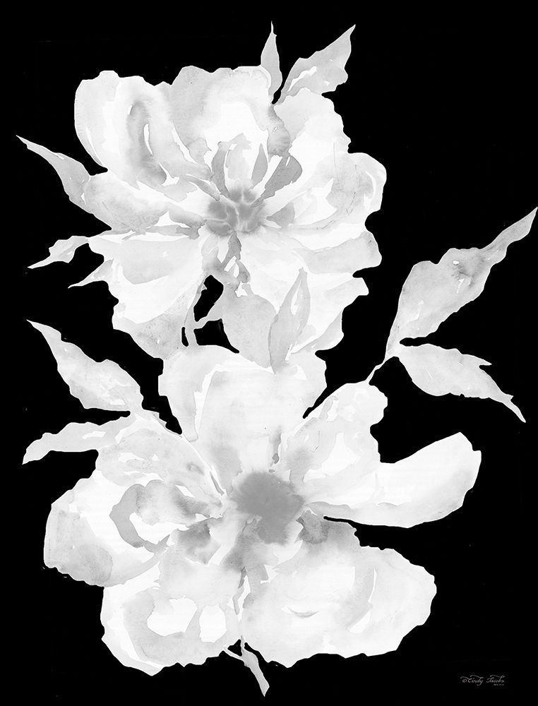 Black And White Flowers I art print by Cindy Jacobs for $57.95 CAD