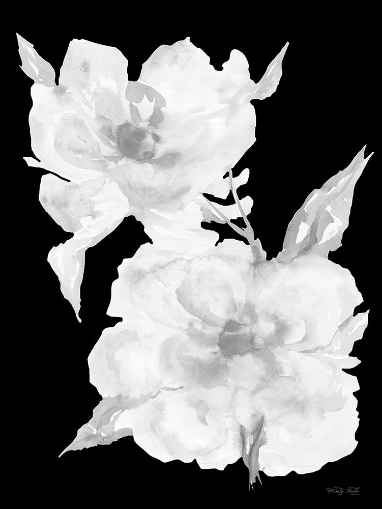 Black And White Flowers II art print by Cindy Jacobs for $57.95 CAD