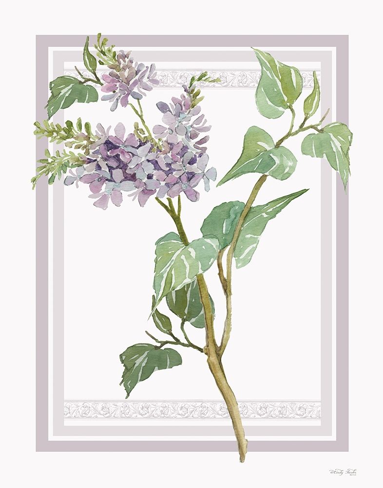 Lilacs V art print by Cindy Jacobs for $57.95 CAD