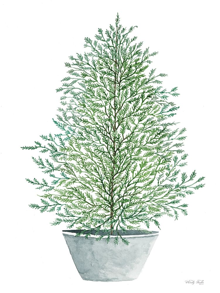 Cedar Tree in Pot art print by Cindy Jacobs for $57.95 CAD