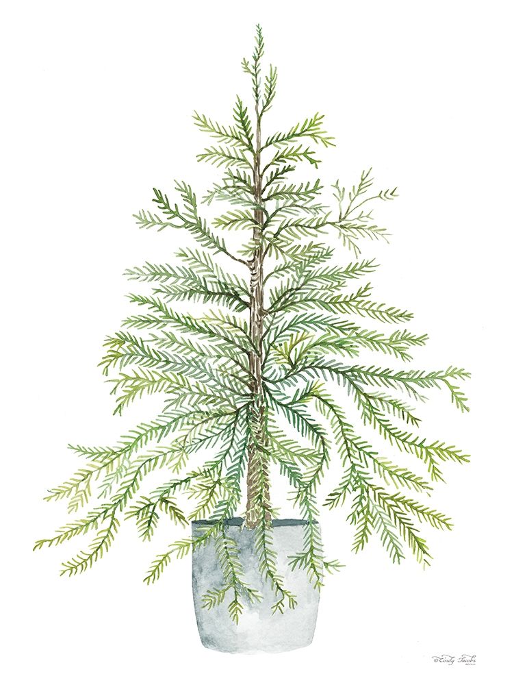 Pine Tree in Pot      art print by Cindy Jacobs for $57.95 CAD