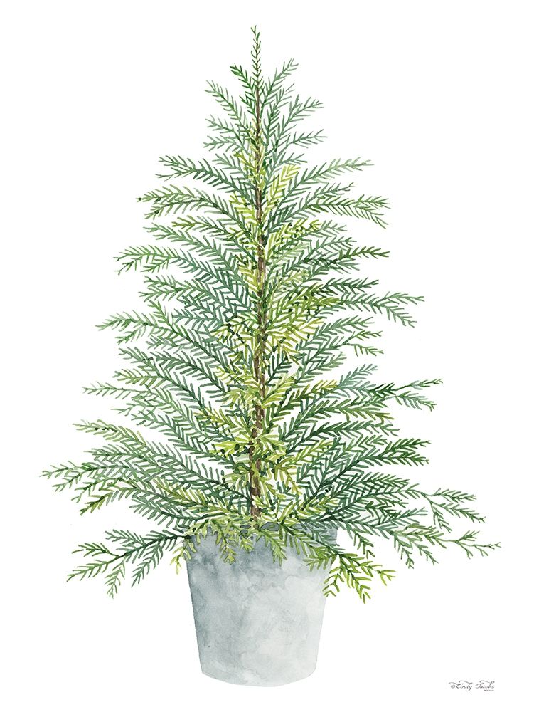 Spruce Tree in Pot art print by Cindy Jacobs for $57.95 CAD