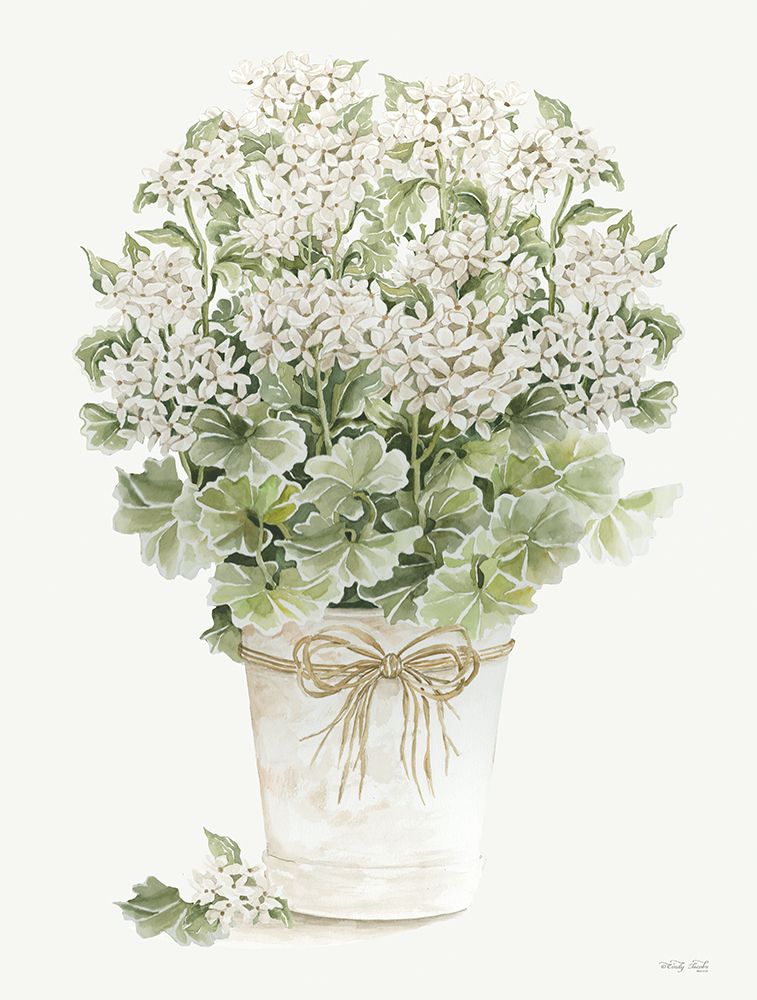 White Geraniums II art print by Cindy Jacobs for $57.95 CAD