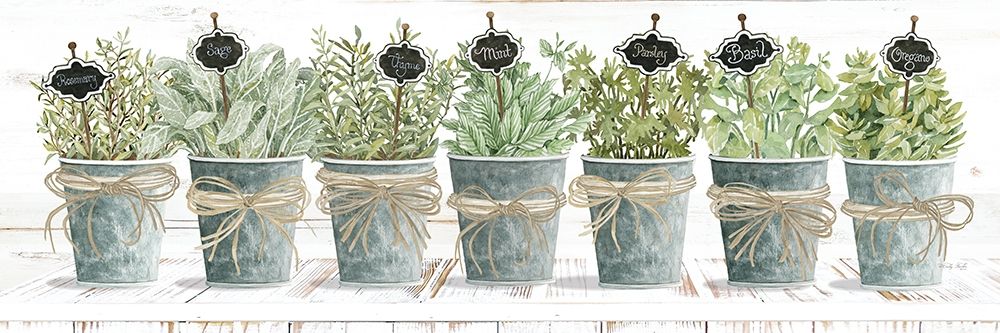 Herbs in a Row art print by Cindy Jacobs for $57.95 CAD