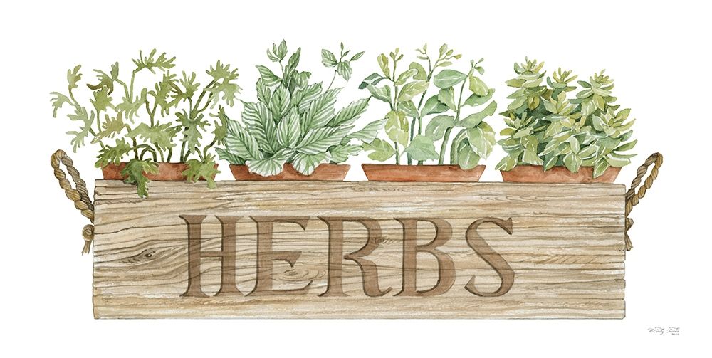 Crate of Herbs art print by Cindy Jacobs for $57.95 CAD
