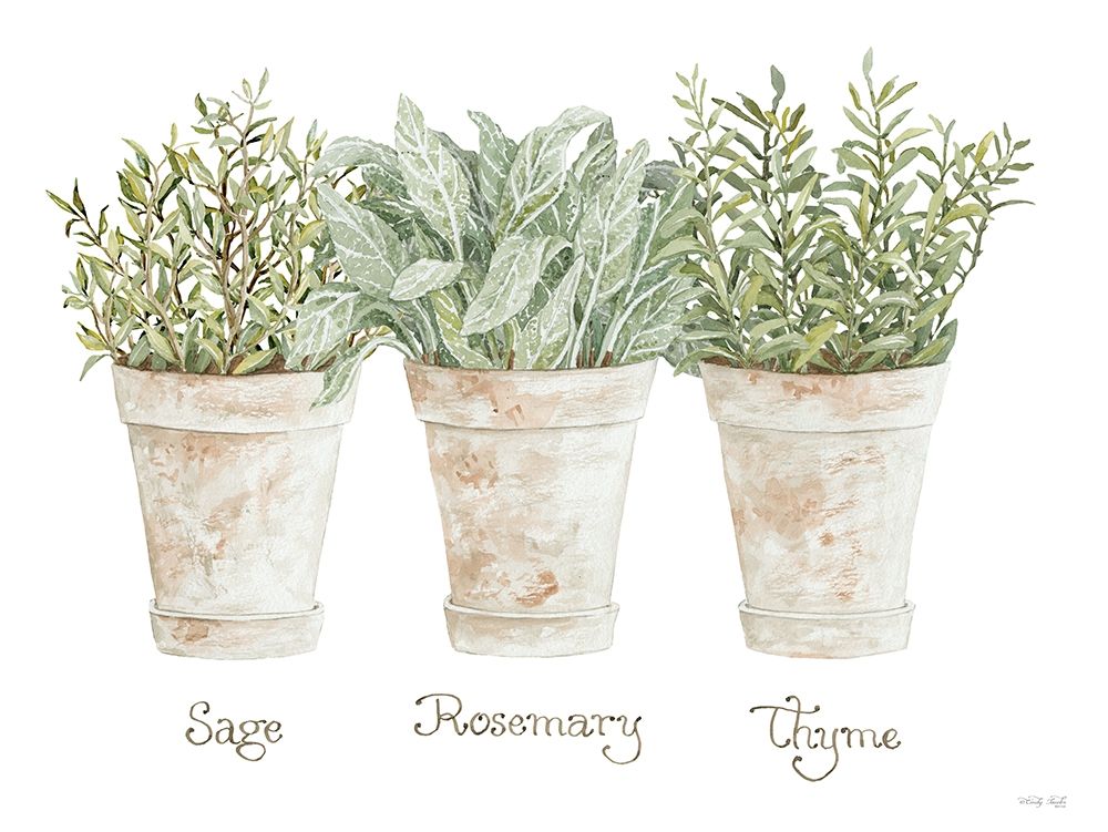 Herb Trio art print by Cindy Jacobs for $57.95 CAD