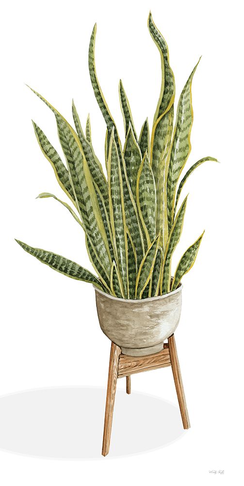 Snake Plant art print by Cindy Jacobs for $57.95 CAD