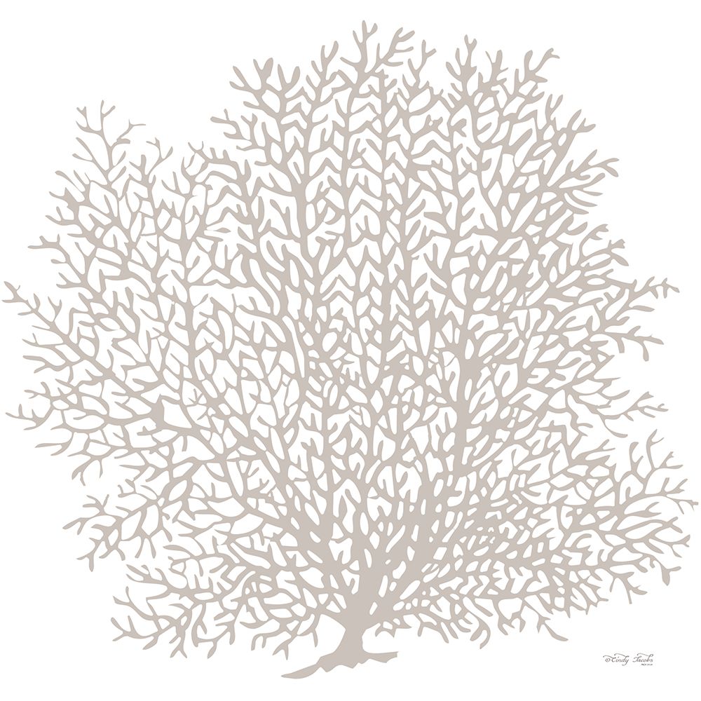 Gray Coral II     art print by Cindy Jacobs for $57.95 CAD