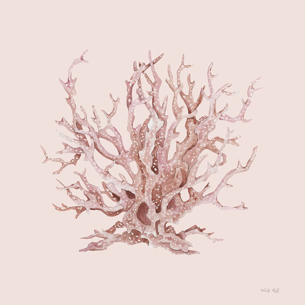 Pink Coral I art print by Cindy Jacobs for $57.95 CAD
