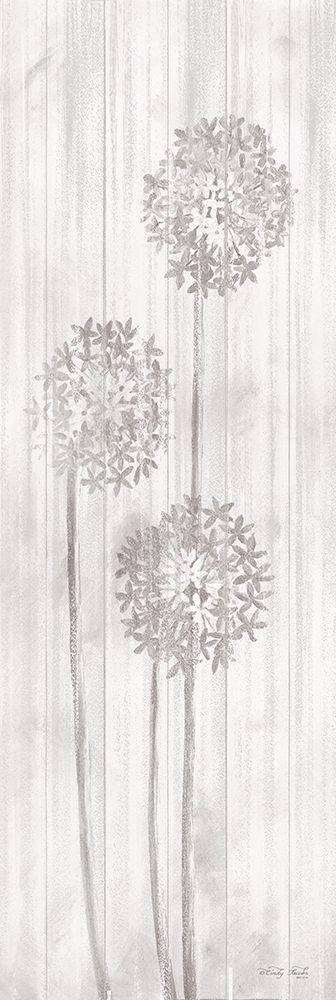 Allium VI art print by Cindy Jacobs for $57.95 CAD