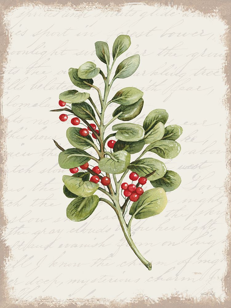 Berries Christmas Botanical art print by Cindy Jacobs for $57.95 CAD
