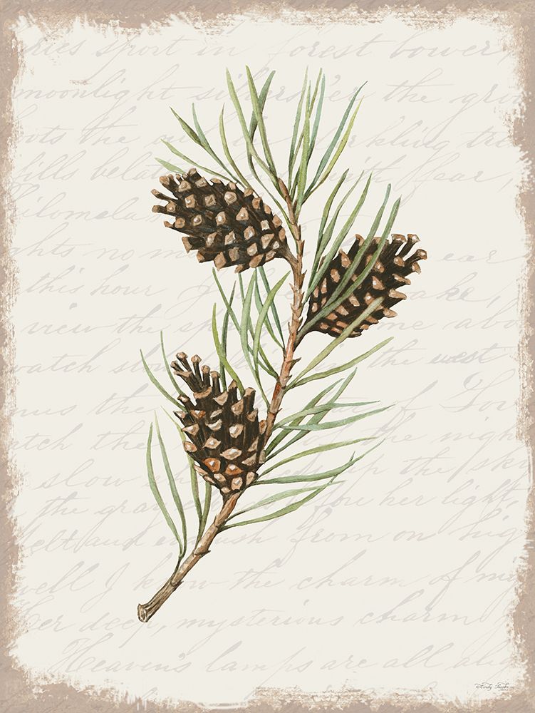 Pine Cone Botanical I art print by Cindy Jacobs for $57.95 CAD