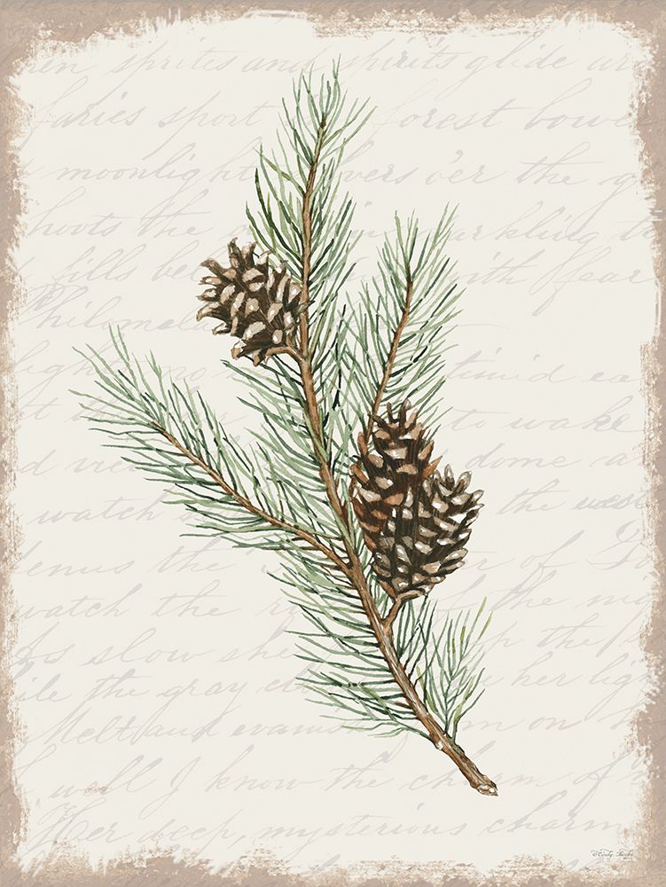 Pine Cone Botanical II art print by Cindy Jacobs for $57.95 CAD