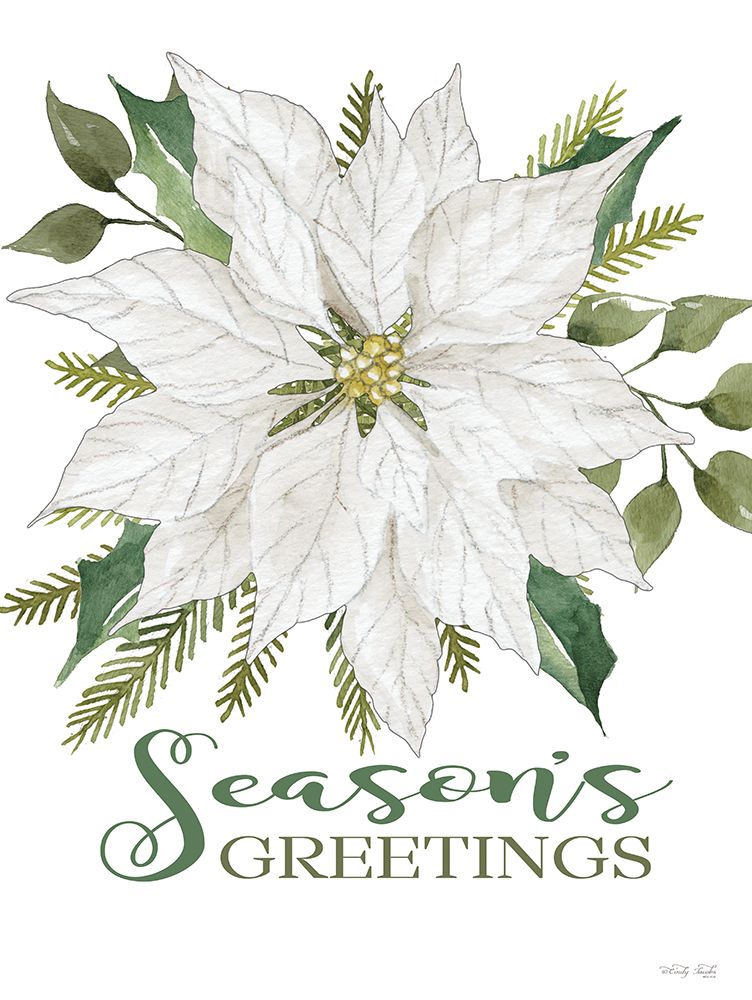Seasons Greetings Poinsettia art print by Cindy Jacobs for $57.95 CAD