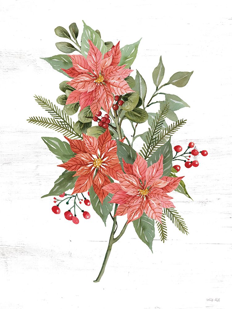 Poinsettia Christmas Botanical art print by Cindy Jacobs for $57.95 CAD