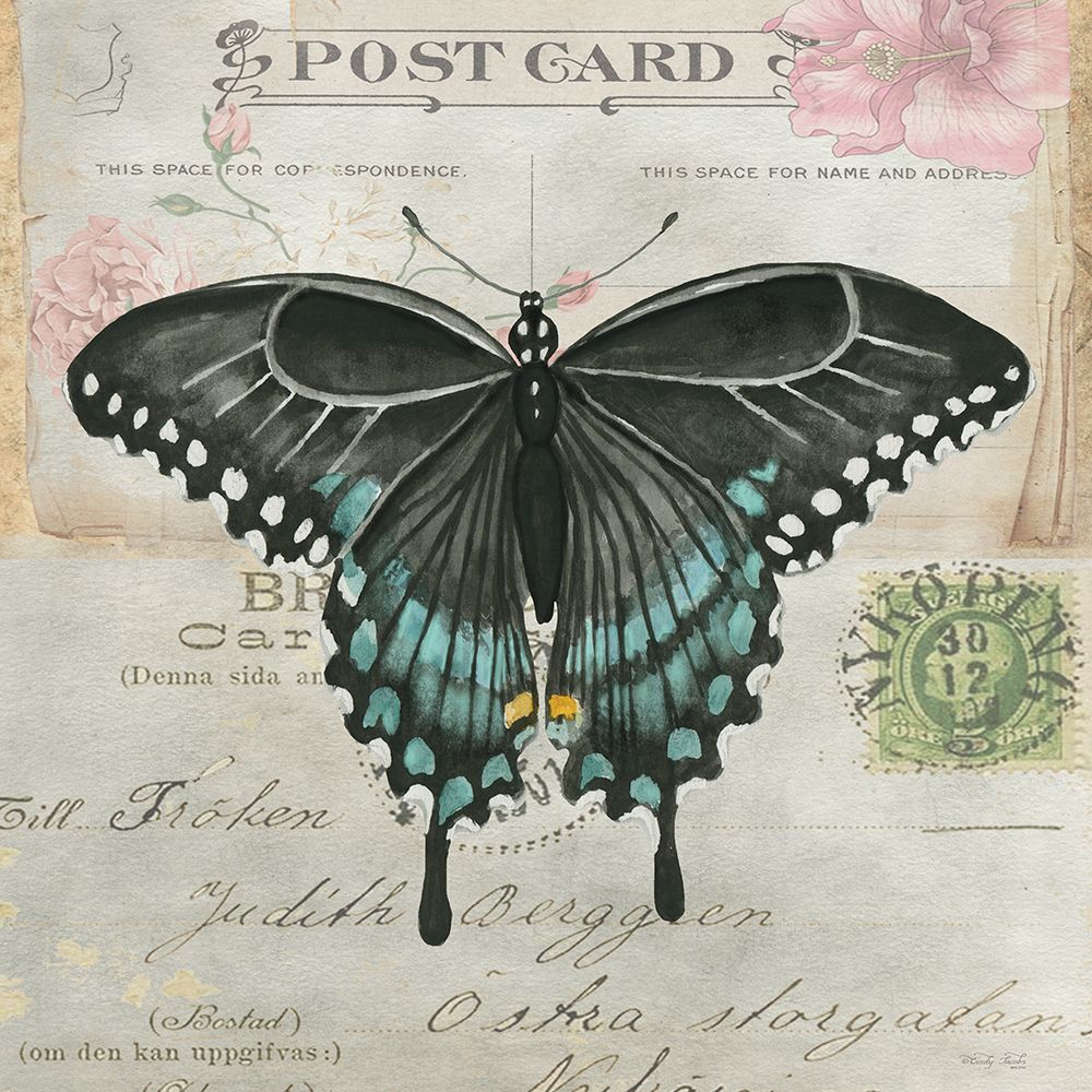 Postcard Butterfly III art print by Cindy Jacobs for $57.95 CAD
