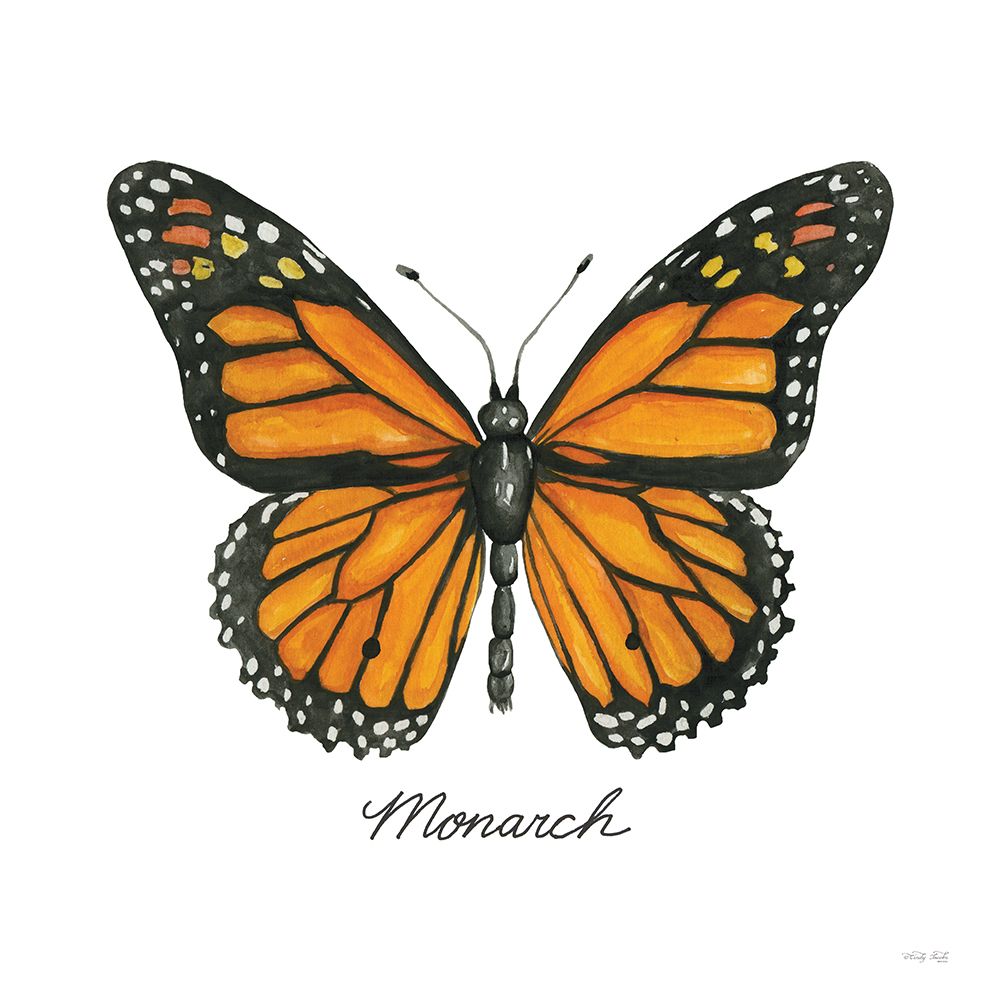 Monarch art print by Cindy Jacobs for $57.95 CAD