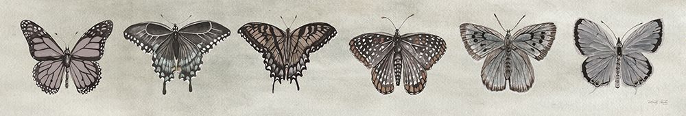 Row of Butterflies I art print by Cindy Jacobs for $57.95 CAD