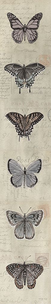 Row of Butterflies II art print by Cindy Jacobs for $57.95 CAD